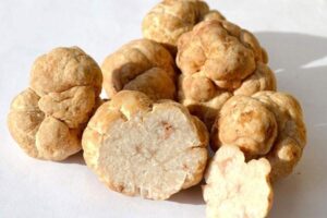 Nấm Truffle trắng Nấm Truffle trắng