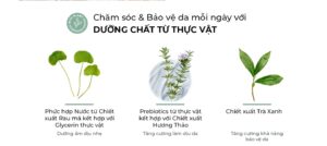thảo mộc thiên nhiên